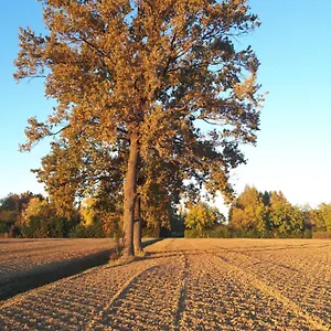 La Delle Rose Séjour à la campagne